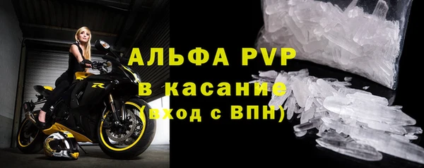 дживик Богданович