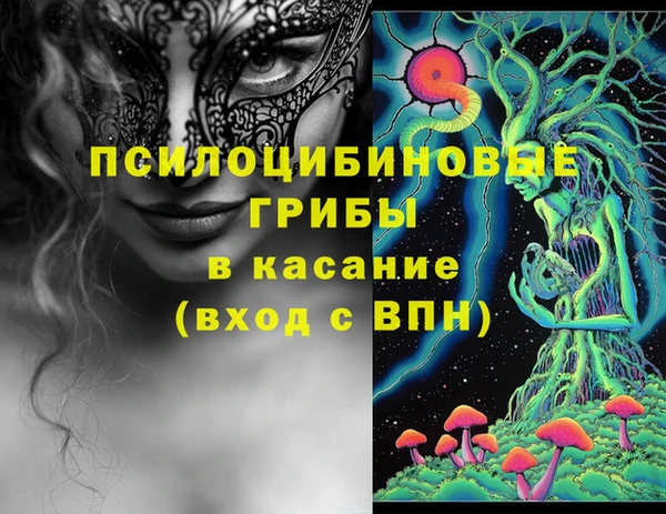 дживик Богданович