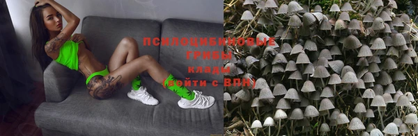 дживик Богданович